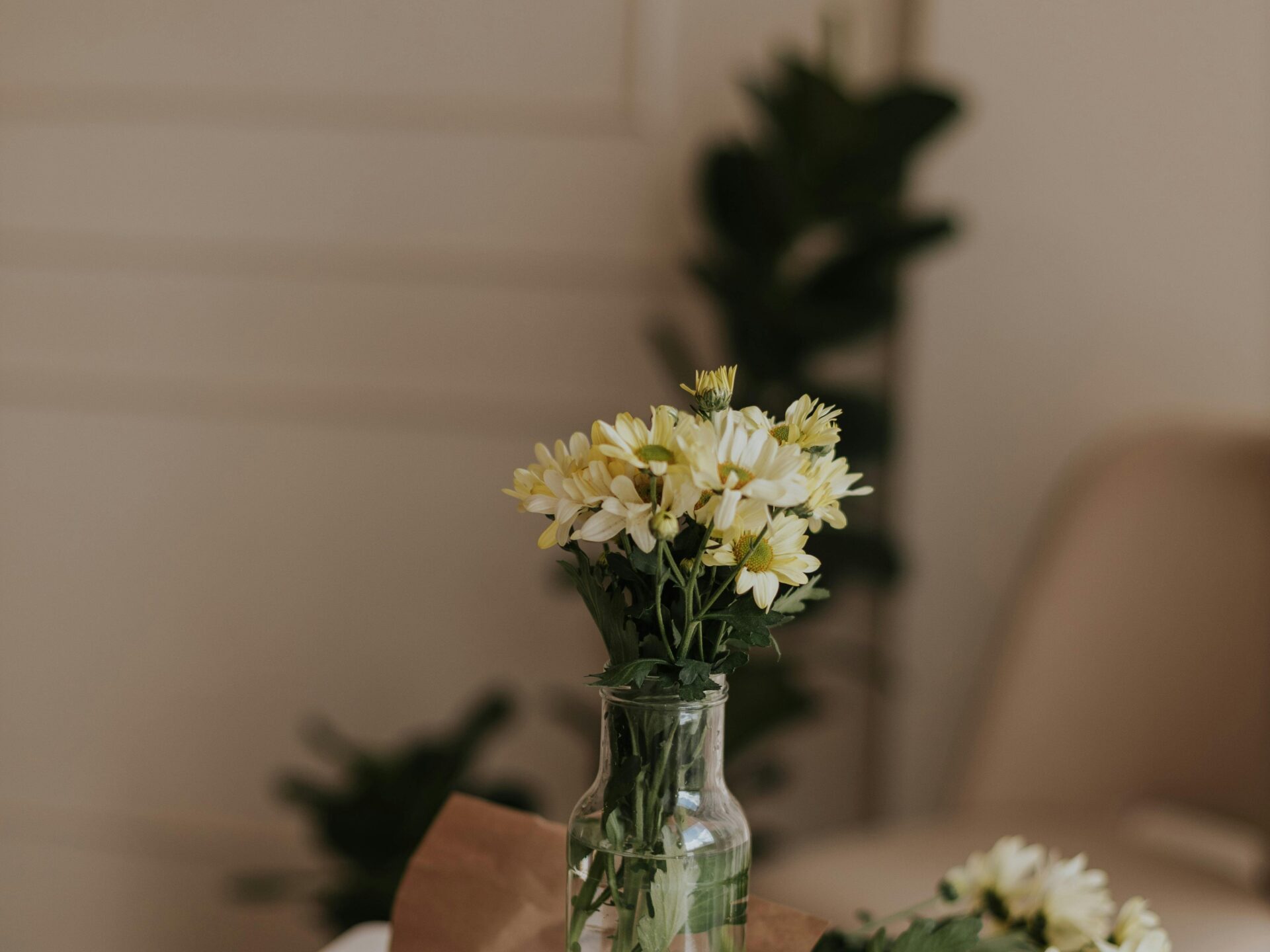 Kodulehe tegemine hind – mis tegelikult mõjutab maksumust? (2025)