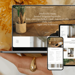 Kodulehe tegemine hind – mis tegelikult mõjutab maksumust? (2025)